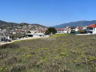 ΑΠΟΨΗ ΟΙΚΟΠΕΔΟΥ