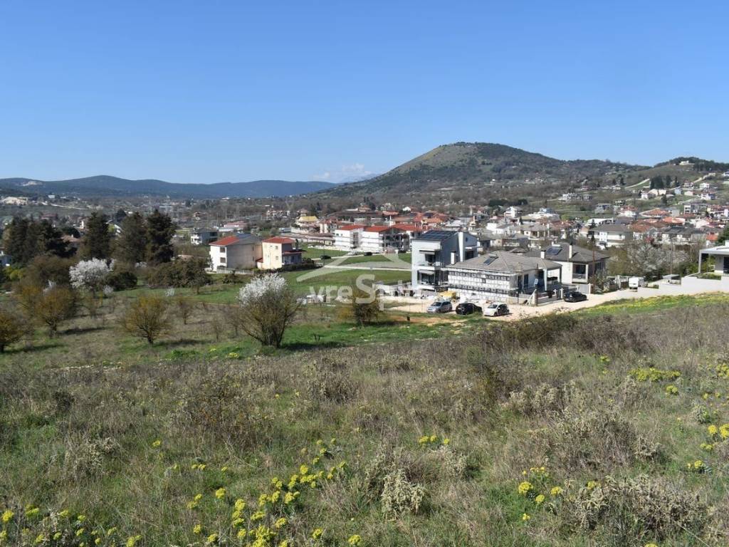 ΑΠΟΨΗ ΟΙΚΟΠΕΔΟΥ