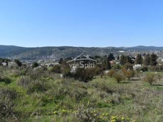 ΑΠΟΨΗ ΟΙΚΟΠΕΔΟΥ