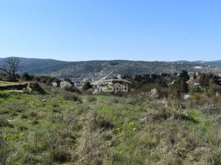 ΑΠΟΨΗ ΟΙΚΟΠΕΔΟΥ