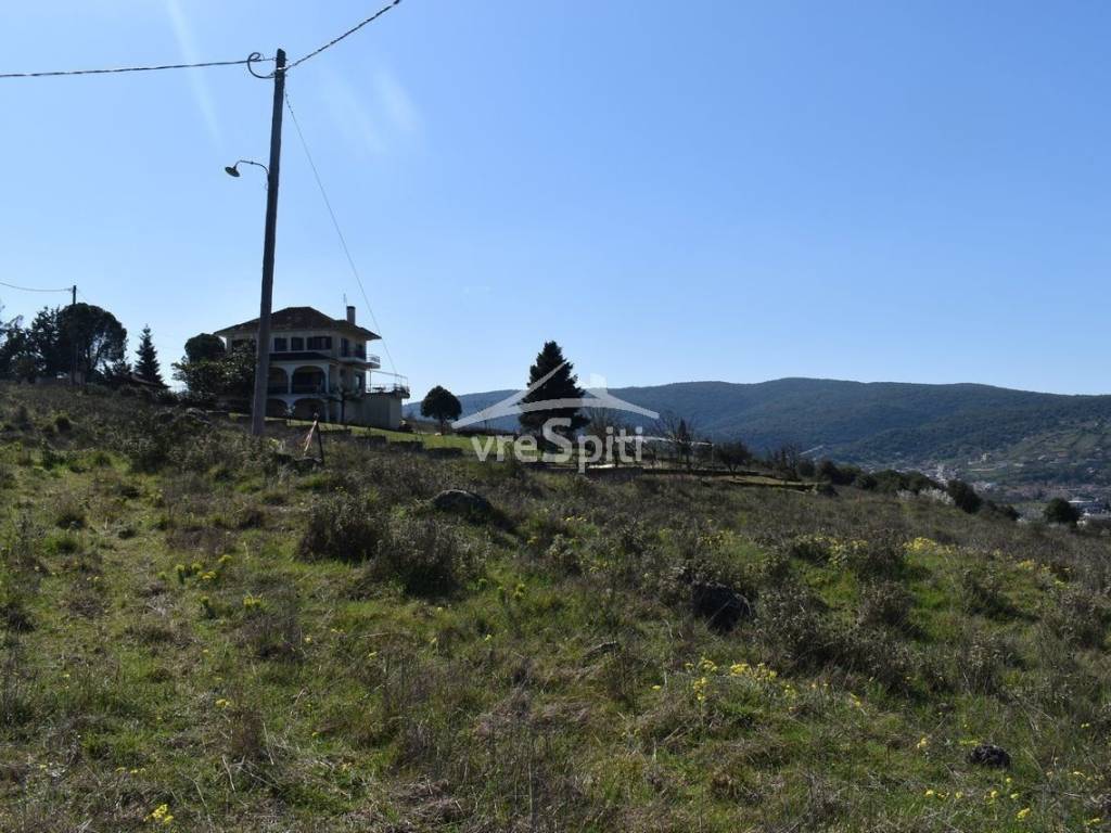 ΑΠΟΨΗ ΟΙΚΟΠΕΔΟΥ