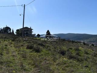 ΑΠΟΨΗ ΟΙΚΟΠΕΔΟΥ