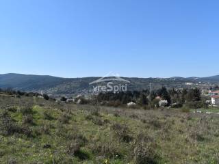 ΑΠΟΨΗ ΟΙΚΟΠΕΔΟΥ