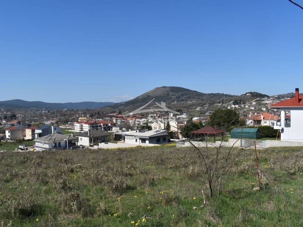 ΑΠΟΨΗ ΟΙΚΟΠΕΔΟΥ