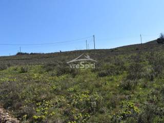 ΑΠΟΨΗ ΟΙΚΟΠΕΔΟΥ