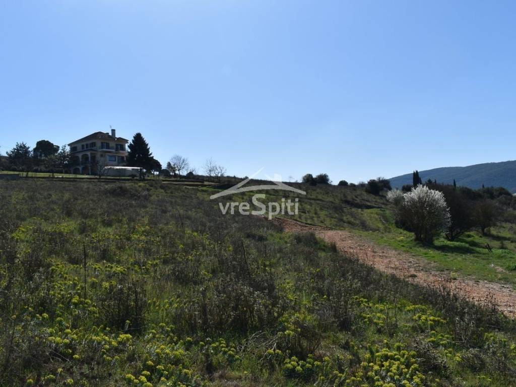 ΑΠΟΨΗ ΟΙΚΟΠΕΔΟΥ