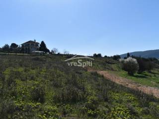 ΑΠΟΨΗ ΟΙΚΟΠΕΔΟΥ