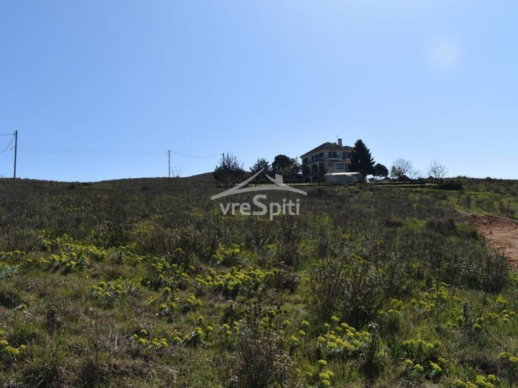 ΑΠΟΨΗ ΟΙΚΟΠΕΔΟΥ