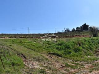 ΑΠΟΨΗ ΟΙΚΟΠΕΔΟΥ