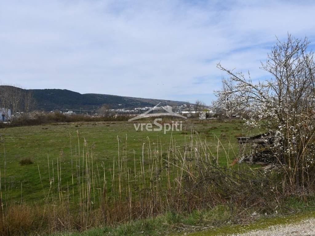 ΑΠΟΨΗ ΑΓΡΟΤΕΜΑΧΙΟΥ