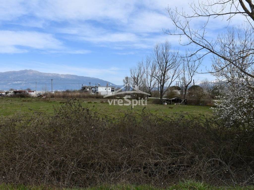 ΑΠΟΨΗ ΑΓΡΟΤΕΜΑΧΙΟΥ