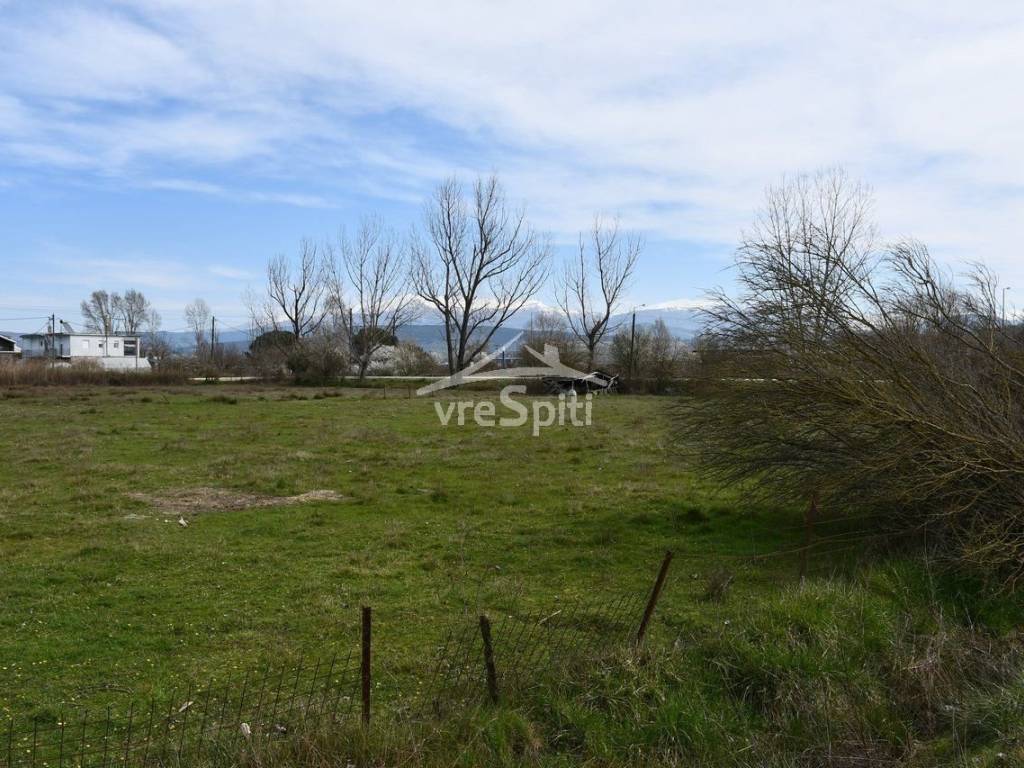 ΑΠΟΨΗ ΑΓΡΟΤΕΜΑΧΙΟΥ