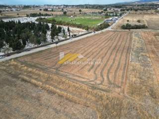 Αγορά αγροτεμαχίου 9 στρεμμάτων στα Β' Κοιμητήρια Αλεξανδρούπολης