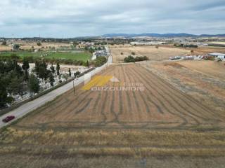 Agora agrotemaxiou 9 stremmatwn sta B' koimhthria Alexandroupolis