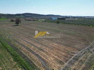 Αγορά επενδυτικού αγροτεμαχίου 19.500 τ.μ. στο 4ο χλμ Αλεξ/πολης-Άβαντα