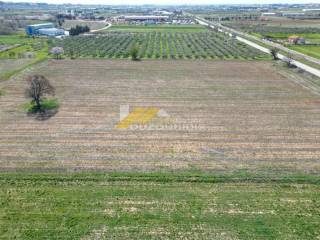 Agora ependitikou agrotemaxiou 19.500 t.m. sto 4o xlm Alex/poliw-Avanta