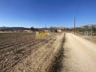 Agora agrotemaxiou 4.000 t.m. ston Avanta Alexandroupolis