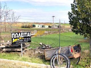 Αγορά οικοπέδου 700 τ.μ. στον Απαλό Αλεξανρούπολης