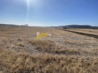 Αγορά αγροτεμαχίου 4.000 τ.μ. στον Άβαντα Αλεξανδρούπολης