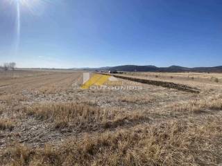 Agora agrotemaxiou 4.000 t.m. ston Avanta Alexandroupolis