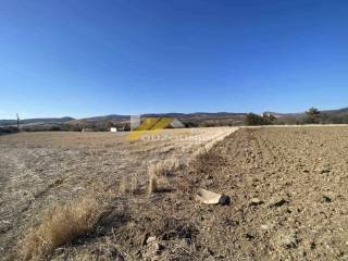 Αγορά αγροτεμαχίου 4.500 τ.μ. στον Άβαντα Αλεξανδρούπολης