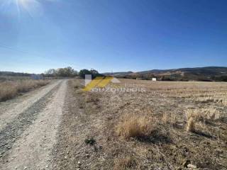 Agora agrotemaxiou 4.500 t.m. ston Avanta Alexandroupolis