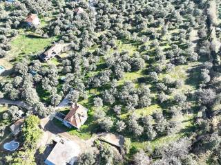 ΤΟ ΑΓΡΟΤΕΜΑΧΙΟ ΑΠΟ ΨΗΛΑ