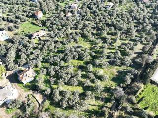 ΤΟ ΑΓΡΟΤΕΜΑΧΙΟ ΑΠΟ ΨΗΛΑ