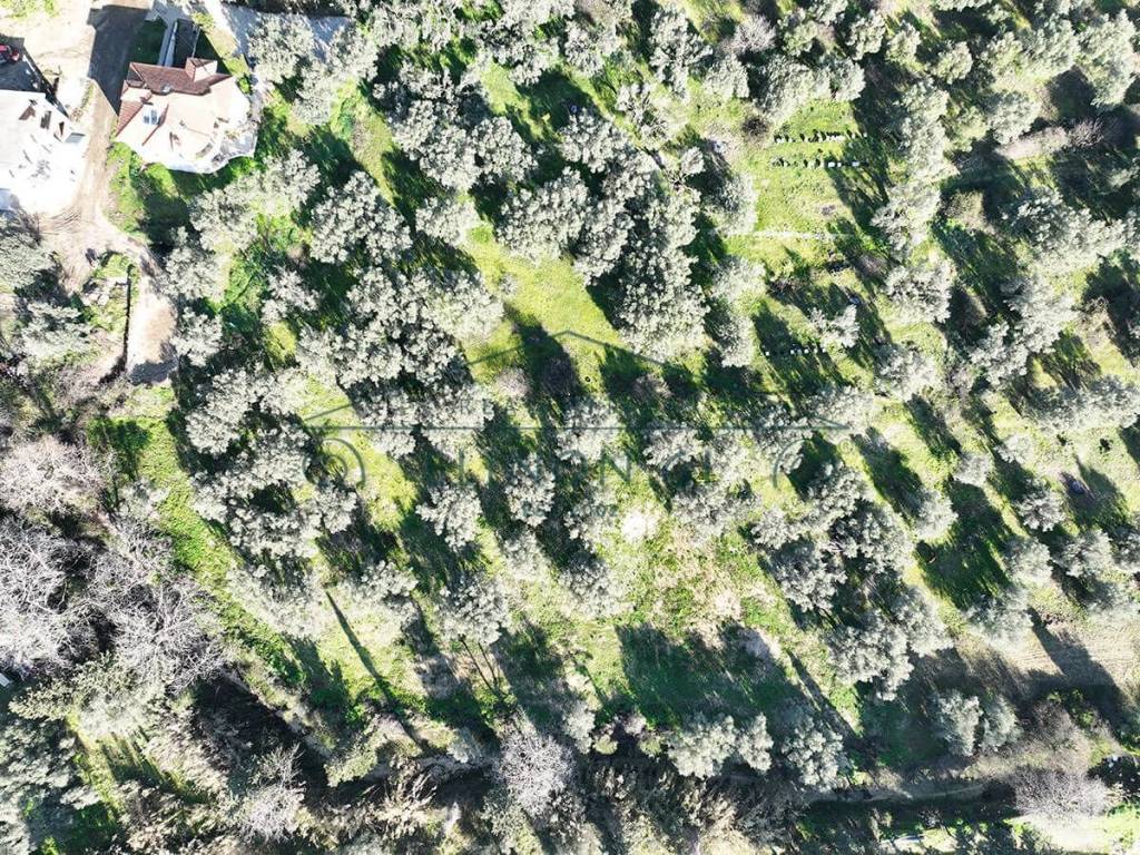 ΤΟ ΑΓΡΟΤΕΜΑΧΙΟ ΑΠΟ ΨΗΛΑ