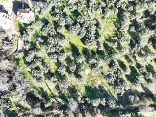 ΤΟ ΑΓΡΟΤΕΜΑΧΙΟ ΑΠΟ ΨΗΛΑ