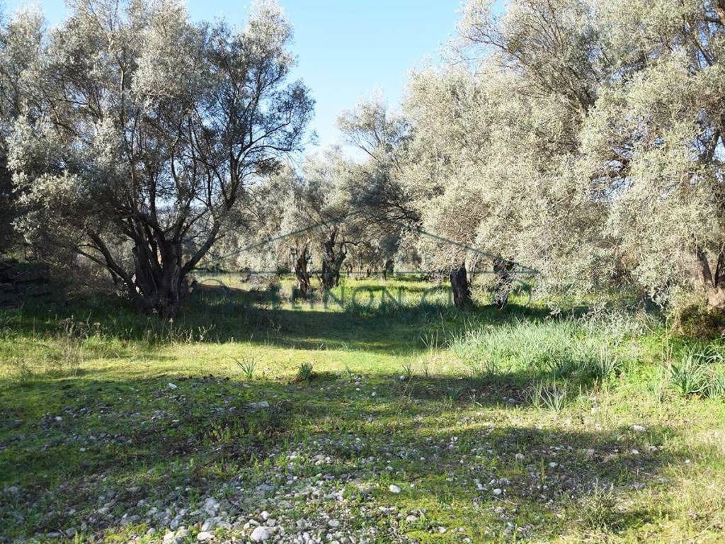 ΤΟ ΑΓΡΟΤΕΜΑΧΙΟ