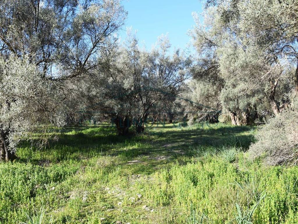 ΤΟ ΑΓΡΟΤΕΜΑΧΙΟ