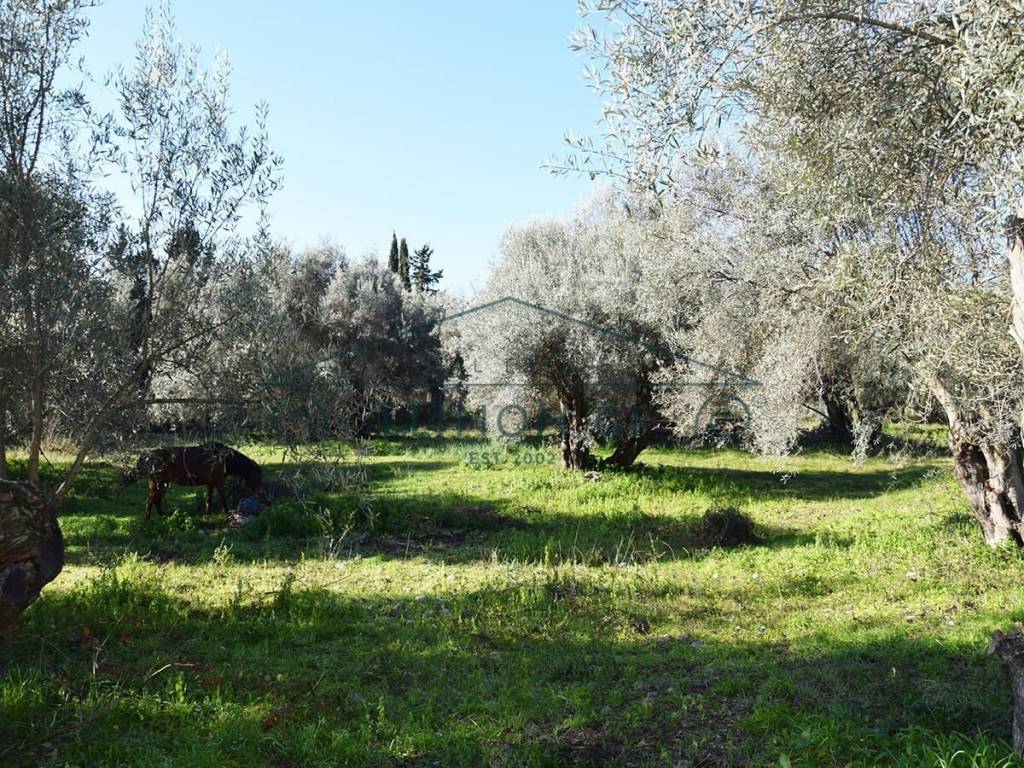 ΤΟ ΑΓΡΟΤΕΜΑΧΙΟ