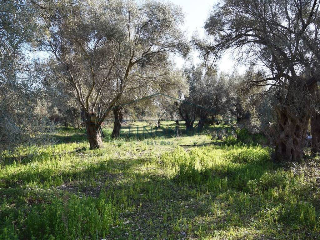 ΤΟ ΑΓΡΟΤΕΜΑΧΙΟ