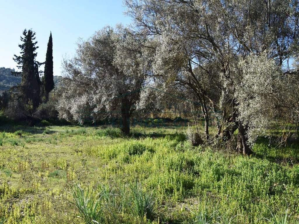 ΤΟ ΑΓΡΟΤΕΜΑΧΙΟ