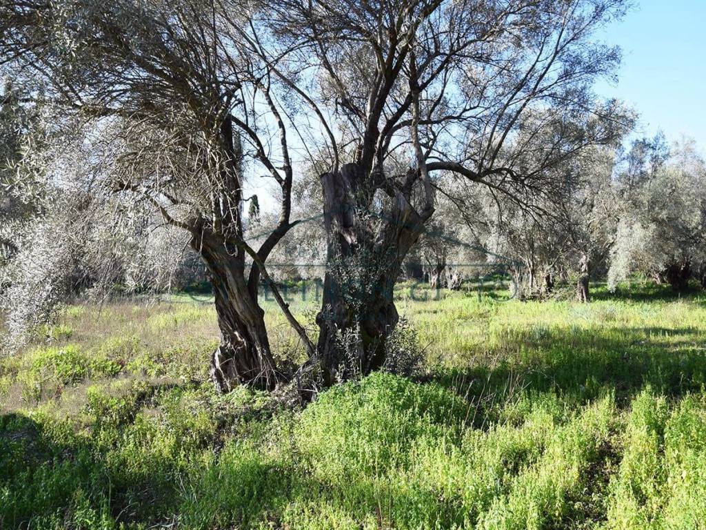 ΤΟ ΑΓΡΟΤΕΜΑΧΙΟ