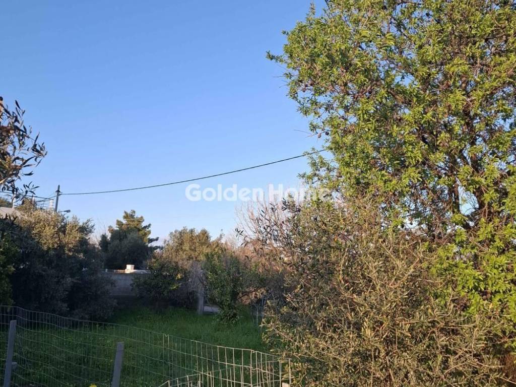 Κυρίως Χώρος