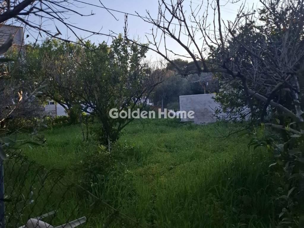 Κυρίως Χώρος