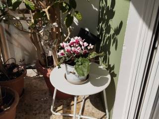 ΜΠΑΛΚΟΝΙ ΣΑΛΟΝΙΟΥ