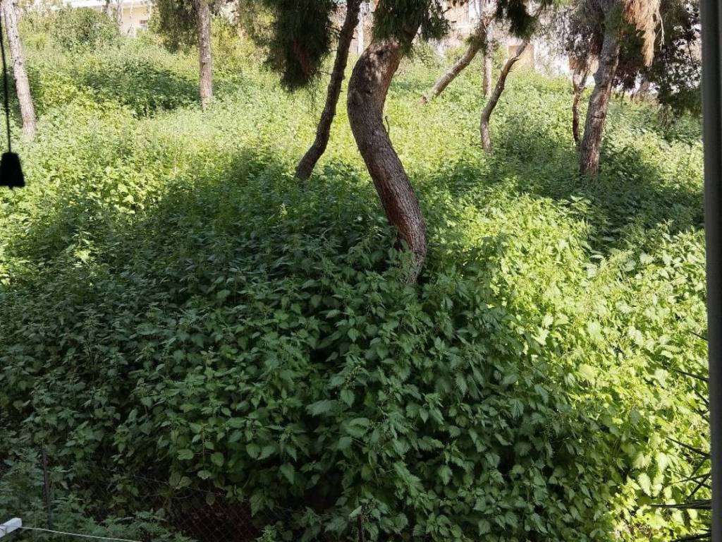 ΜΠΑΛΚΟΝΙ ΥΠΝΟΔΩΜΑΤΙΟΥ