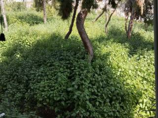 ΜΠΑΛΚΟΝΙ ΥΠΝΟΔΩΜΑΤΙΟΥ