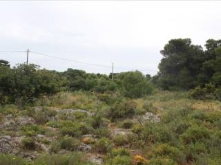 Plot - Grekodom 38127|569653