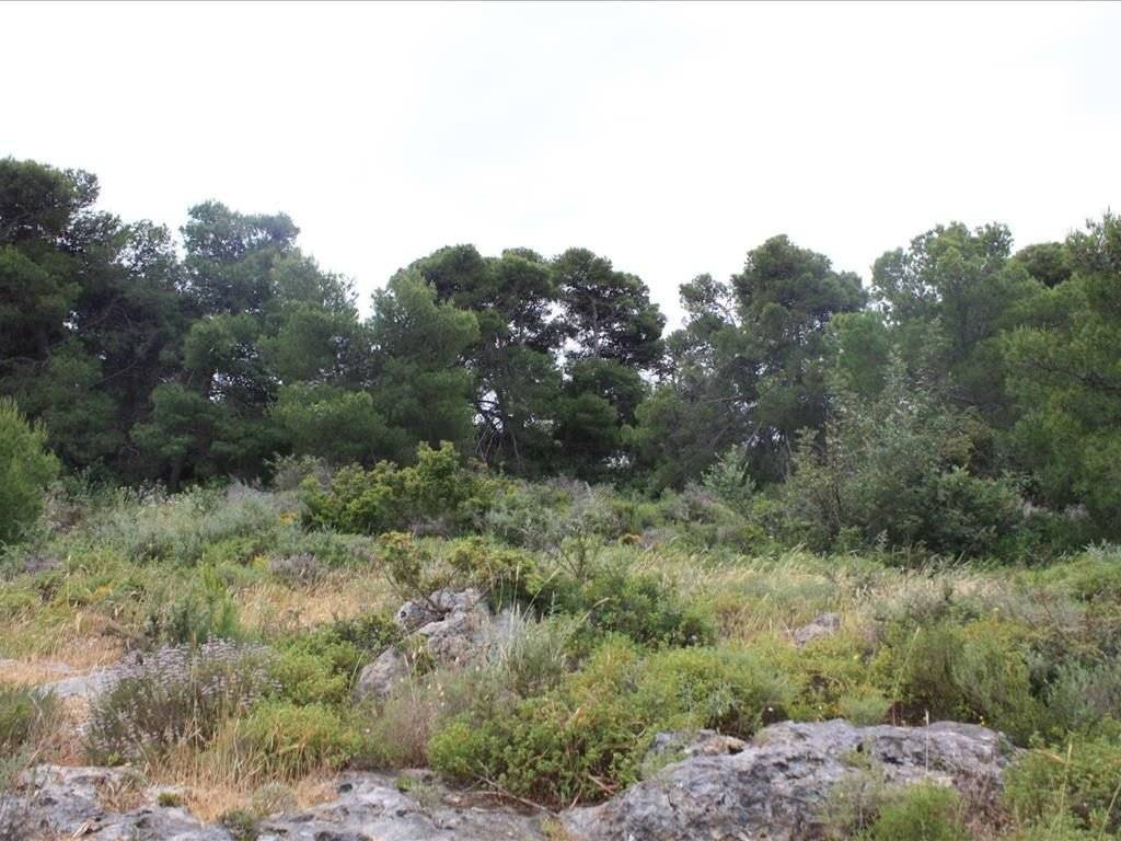 Plot - Grekodom 38127|569668