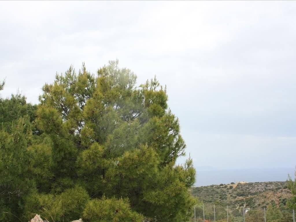 Plot - Grekodom 38127|569674