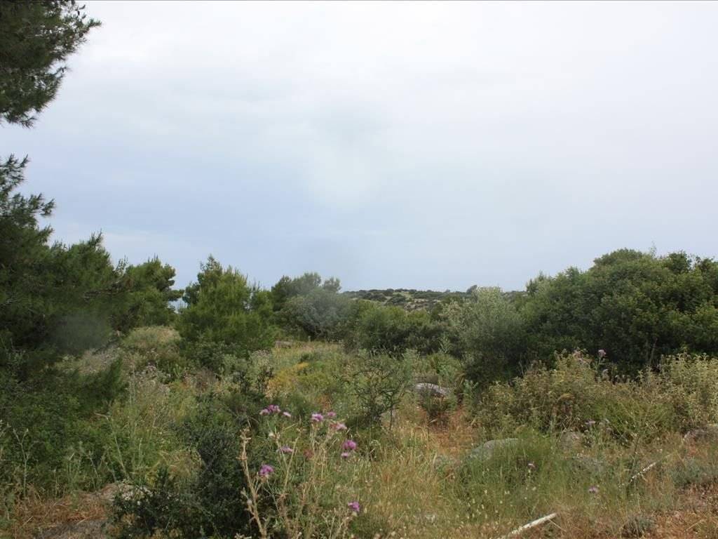 Plot - Grekodom 38127|569681