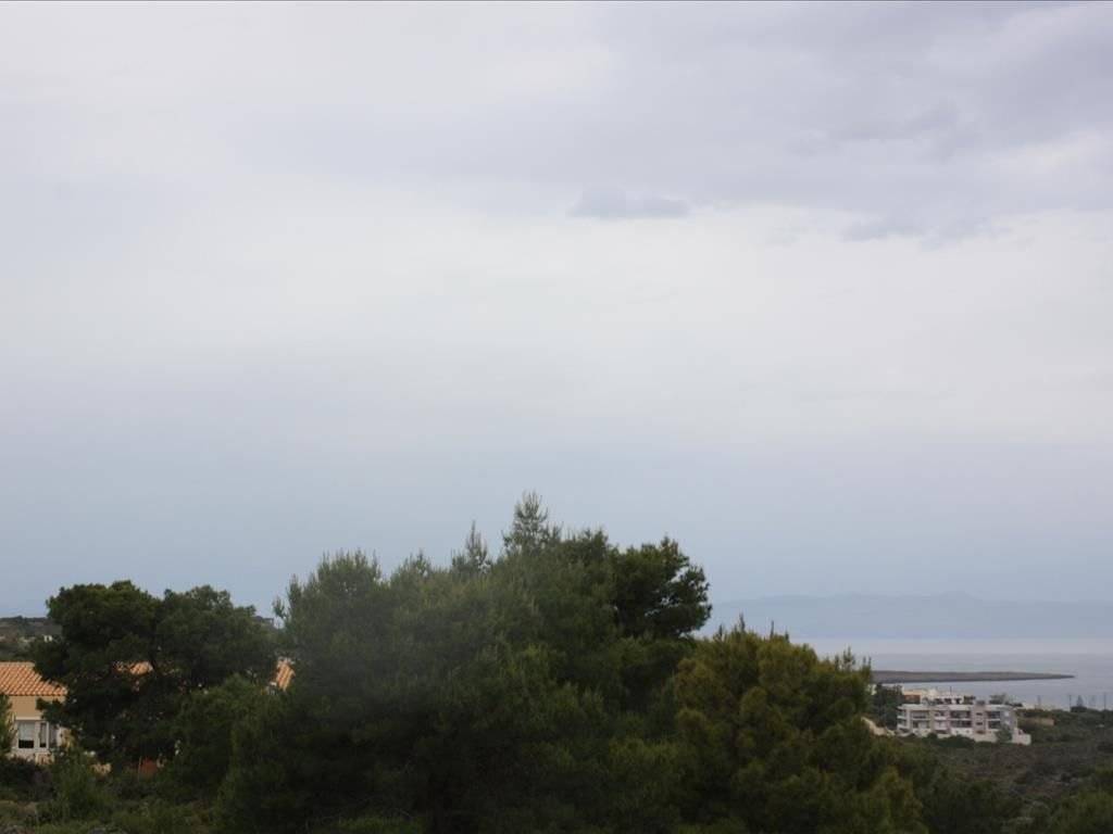 Plot - Grekodom 38127|569683