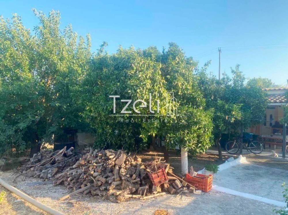 Εξωτερική άποψη χώρου