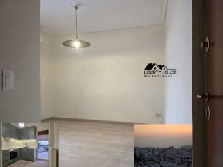 Polyteles diamerisma 55t.m.,