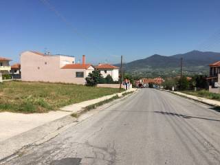 Plot - Grekodom 32007|486573