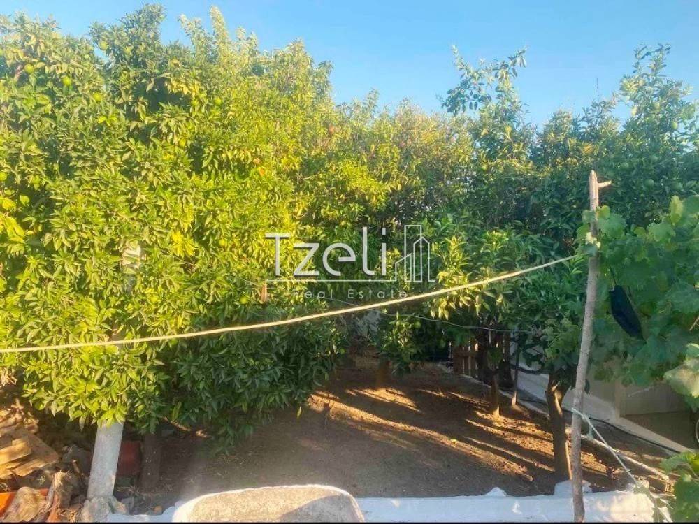 Εξωτερική άποψη χώρου